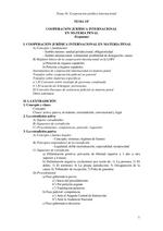 Cooperacion Jurídica Internacional en Materia Penal