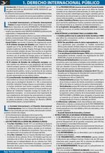 Apuntes de Derecho Internacional Público