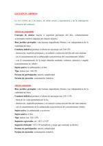 Ficha del delito de aborto