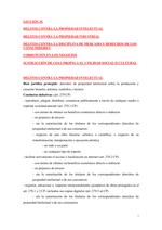 Ficha de los delitos contra la Propiedad Intelectual