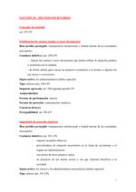 Ficha de los delitos societarios