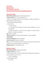 Ficha de los delitos de receptación y de blanqueo de capitales