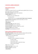 Ficha de los delitos de robos y de usurpación